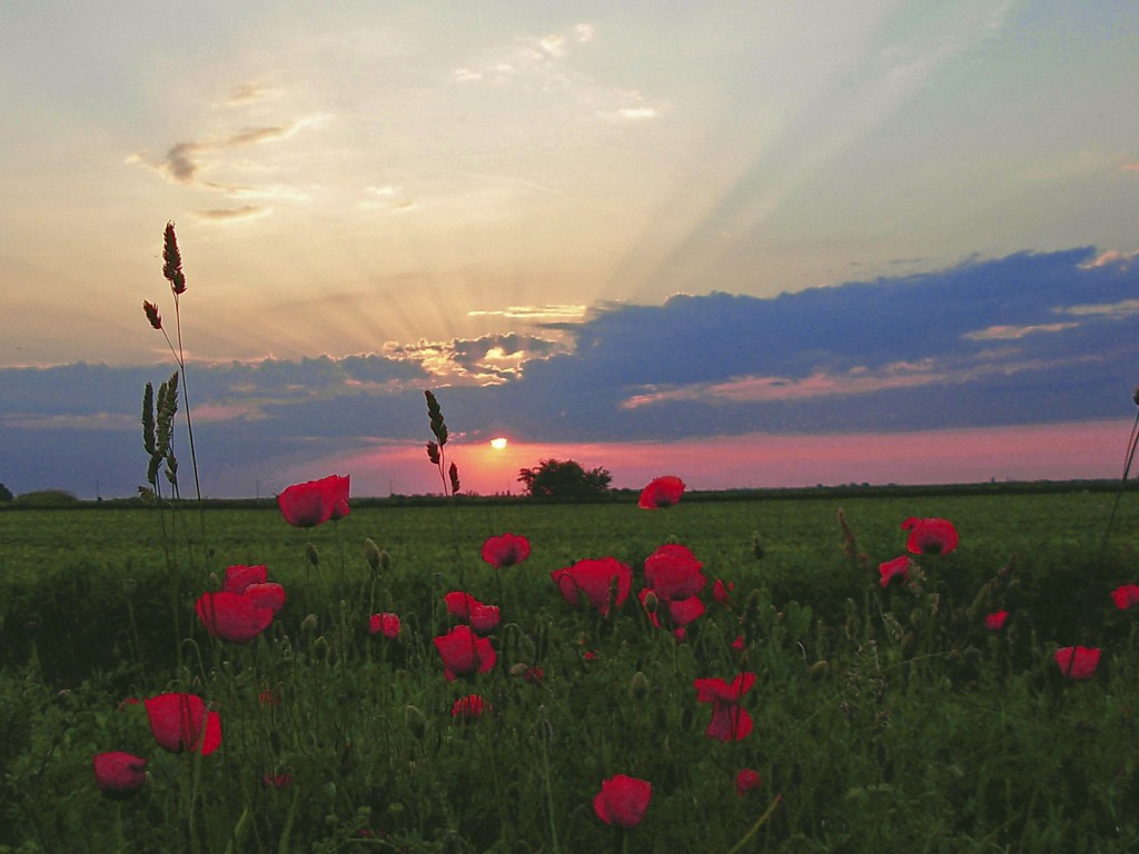 Закат обои