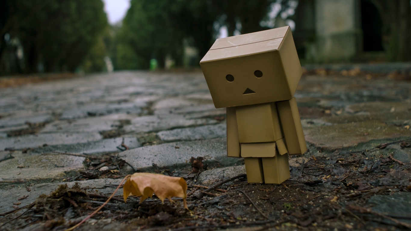 Danbo и первый осенний лист обои