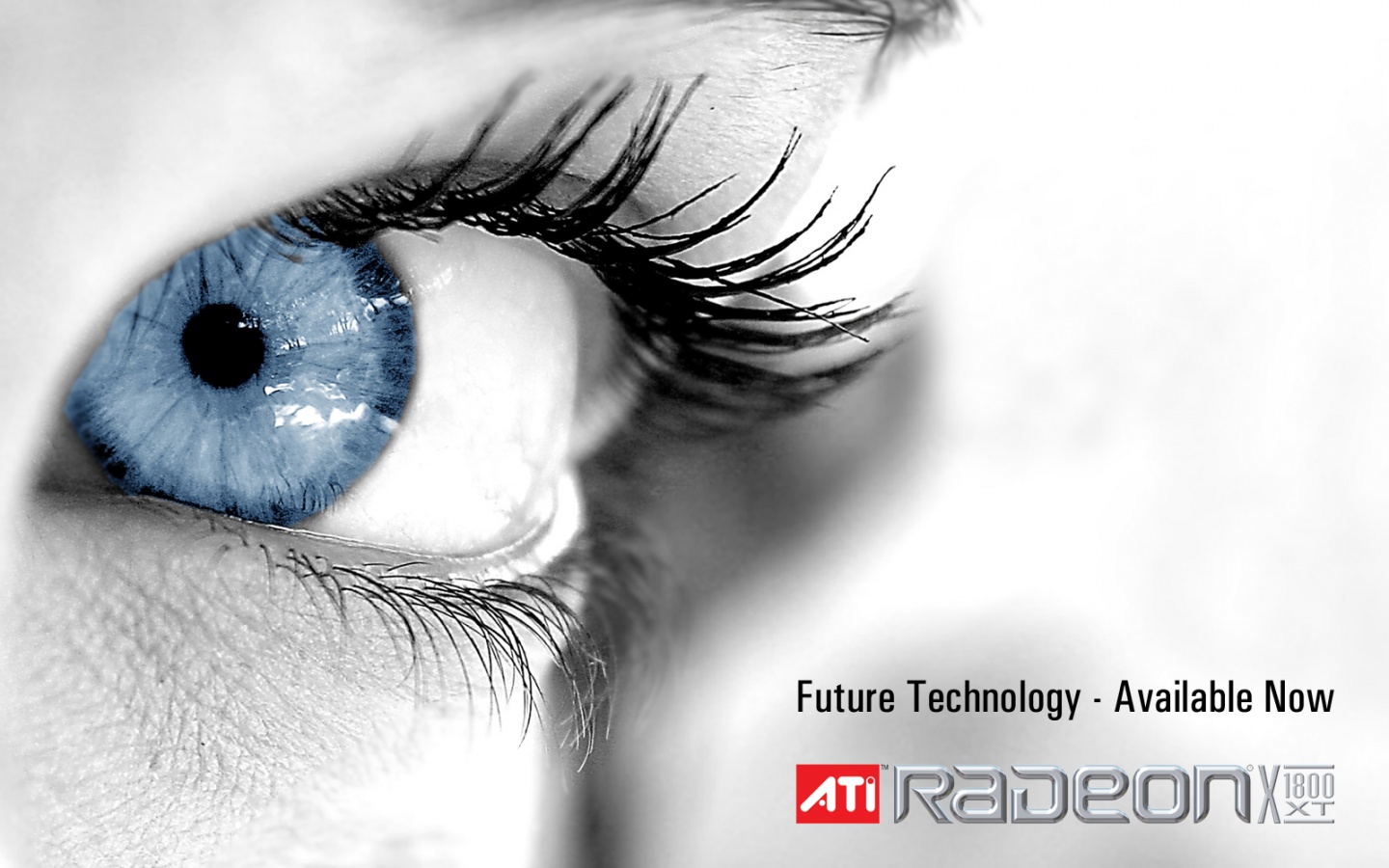 Ati Radeon Future Technology - available now обои