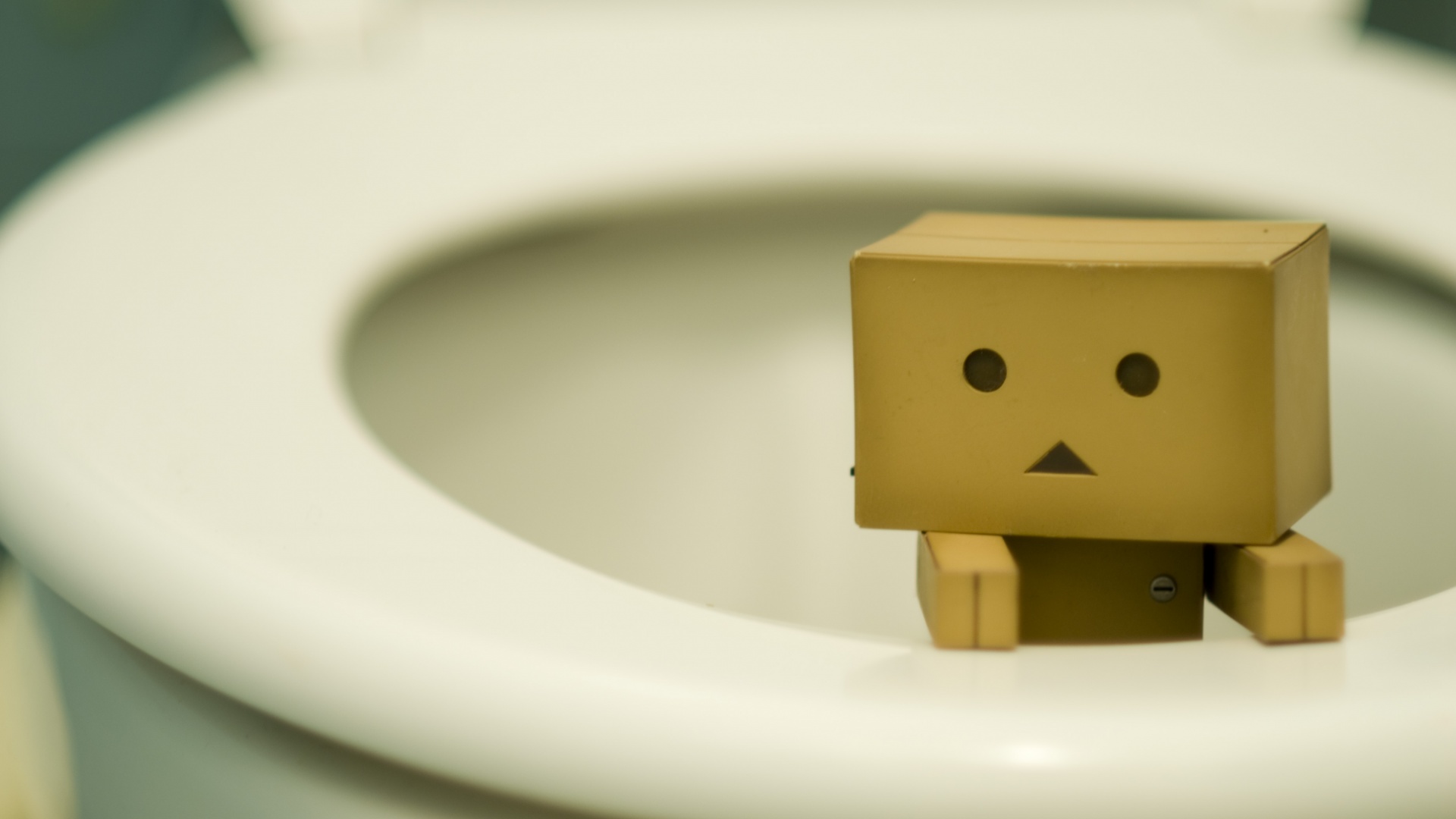 Danbo в унитазе обои