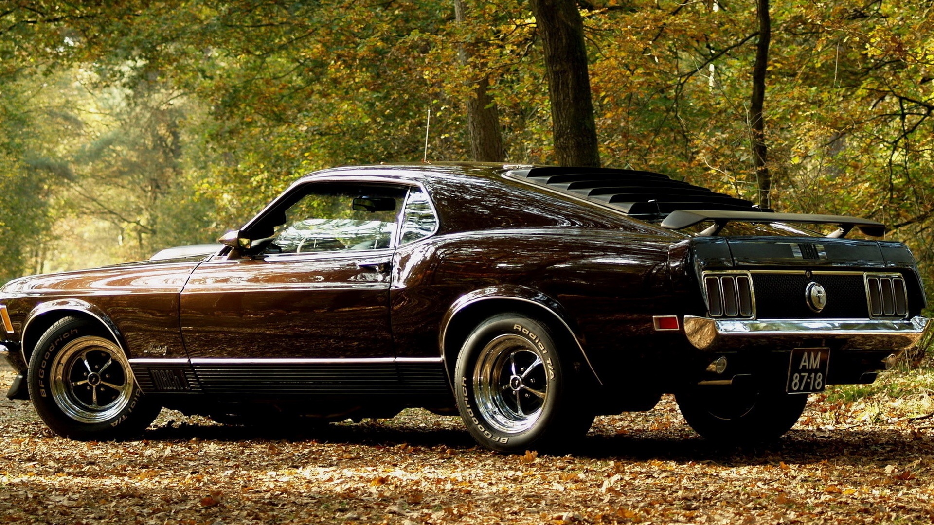 Ford обои