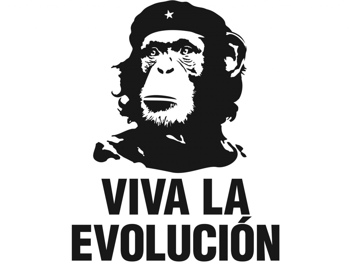 Viva la evolucion обои