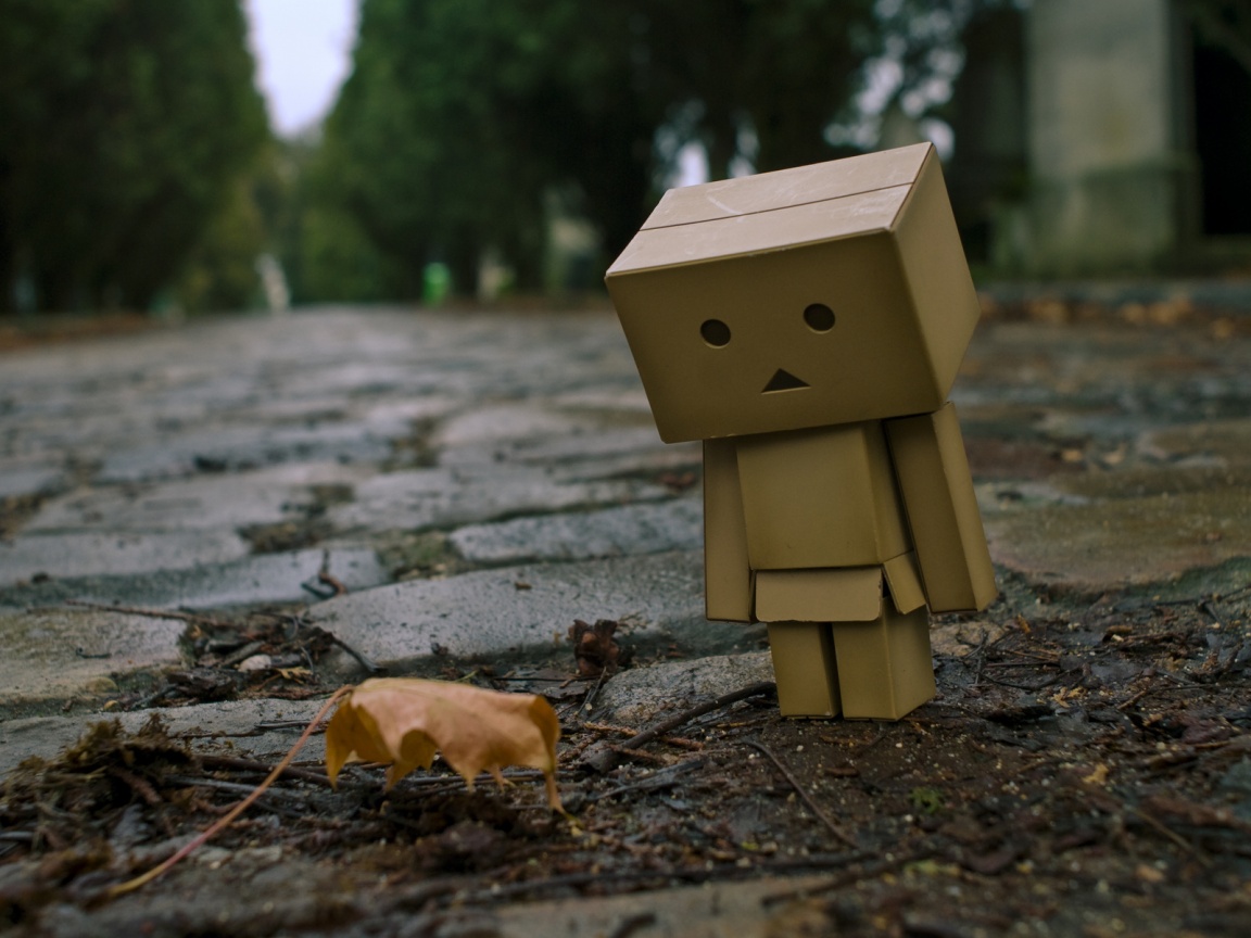 Danbo и первый осенний лист обои