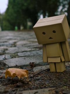 Danbo и первый осенний лист обои