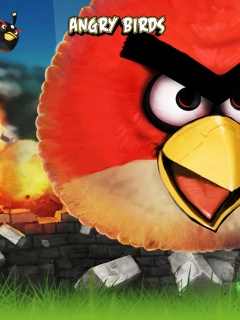 Angry Birds обои