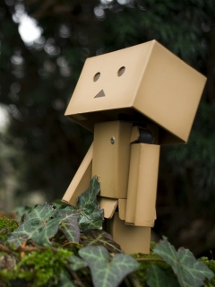 Danbo смотрит вверх обои