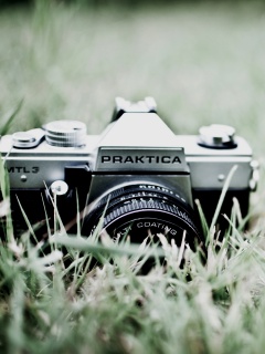 Фотоаппарат Praktica в траве обои