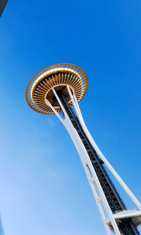 Space Needle Tower обои