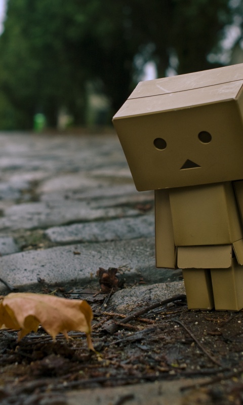 Danbo и первый осенний лист обои