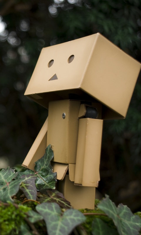 Danbo смотрит вверх обои