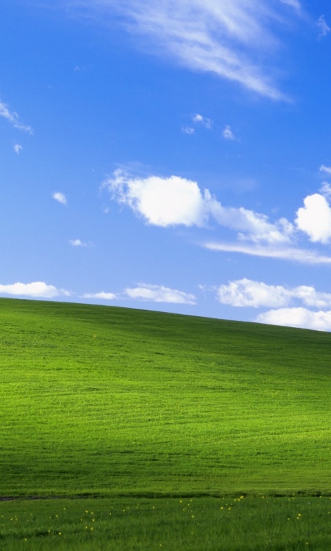 Стандартные обои Windows XP обои