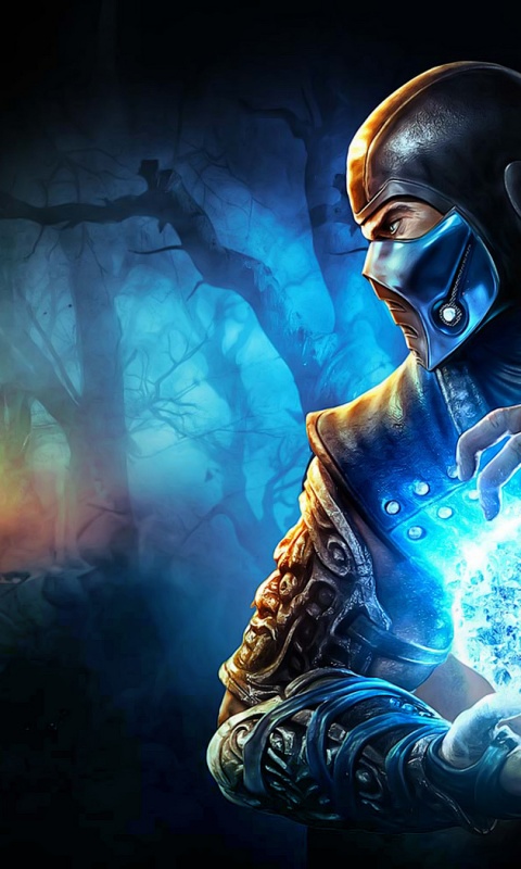 Бой SubZero и Scorpion из Mortal Kombat обои