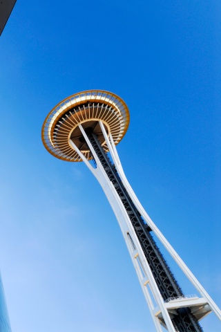 Space Needle Tower обои