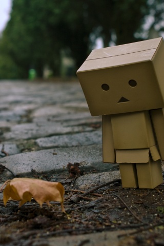 Danbo и первый осенний лист обои