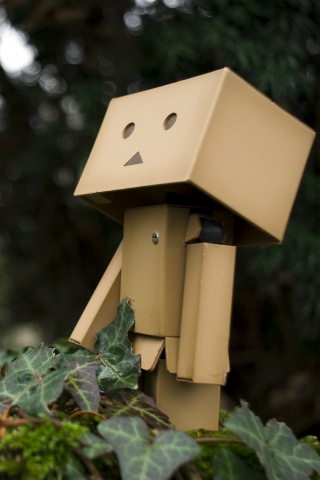 Danbo смотрит вверх обои