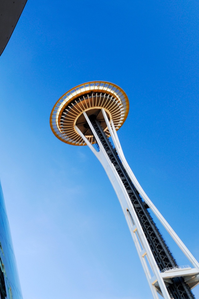 Space Needle Tower обои