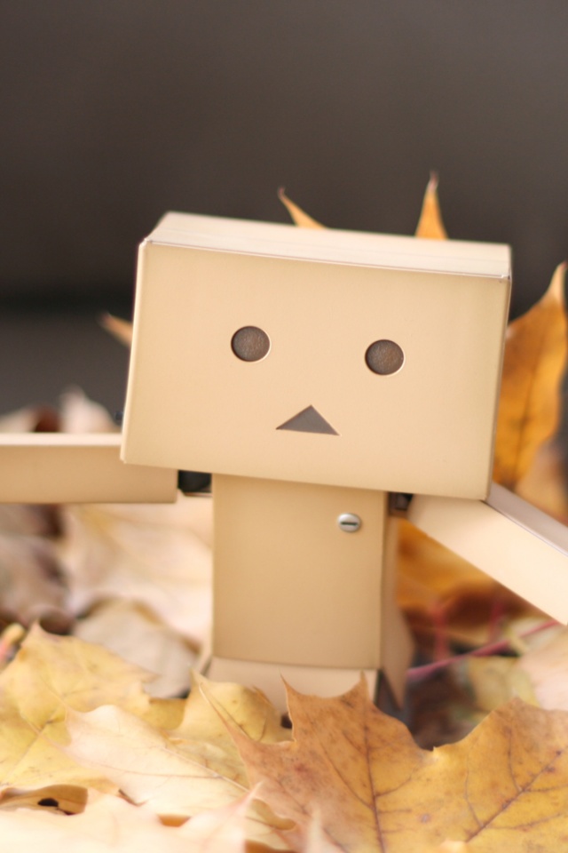  Yotsubato Danbo резвится листьях обои