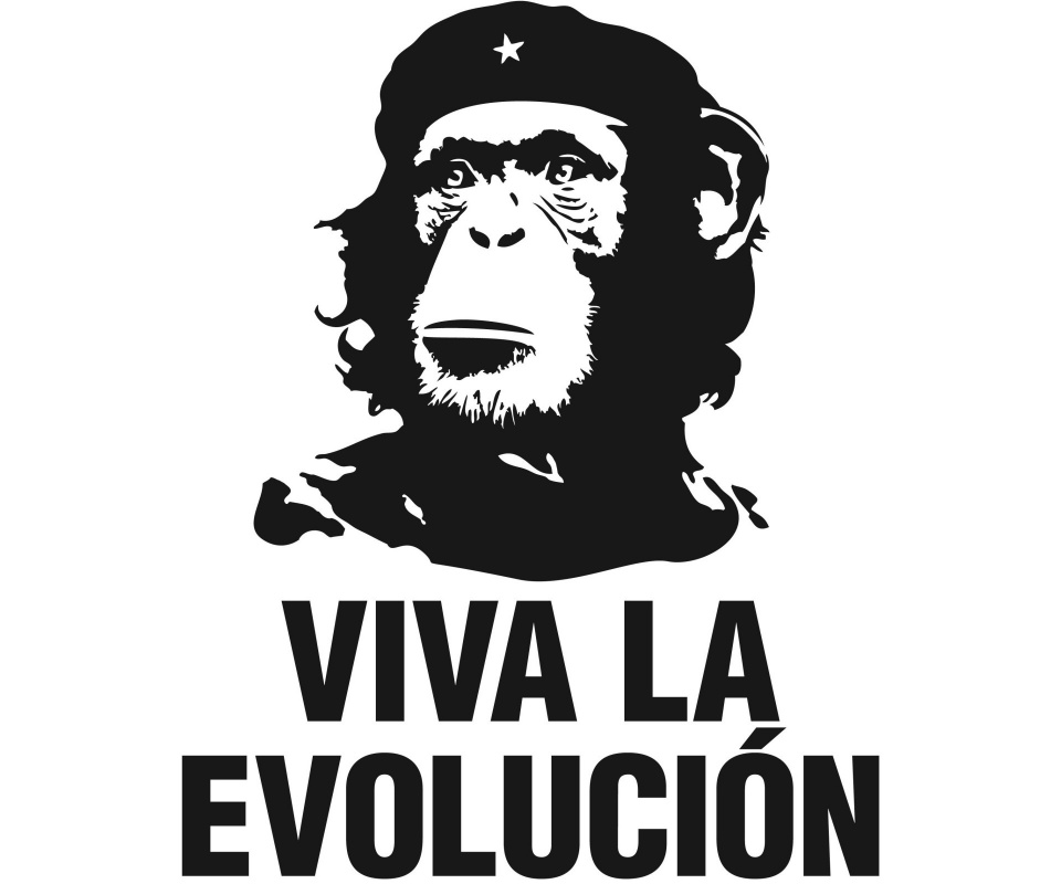 Viva la evolucion обои