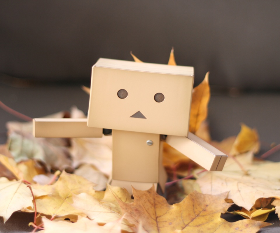  Yotsubato Danbo резвится листьях обои