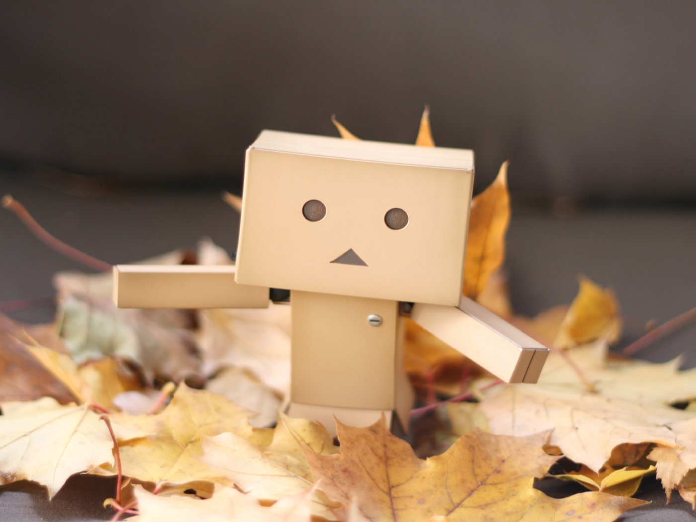  Yotsubato Danbo резвится листьях обои