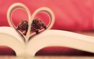 обои Фигурки мишек в книге для рабочего стола книга медведь сердце