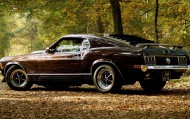 обои Ford для рабочего стола ford лес мускулкар форд