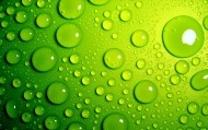 обои Зеленые пузыри для рабочего стола вода зеленый пузыри