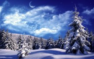 обои Зимний еловый лес для рабочего стола ель зима лес луна