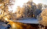 обои Зимняя река для рабочего стола деревья зима река роща
