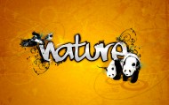 обои Природа для рабочего стола панда природа птица