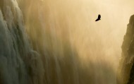 обои Eagle  для рабочего стола водопад орел