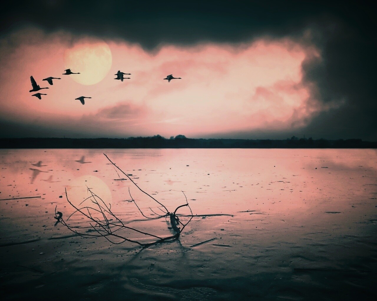 Полет птиц над озером обои