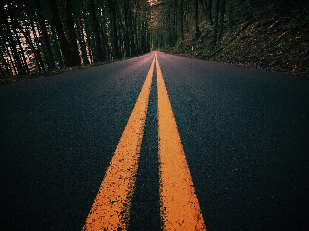 Дорога в лесу обои