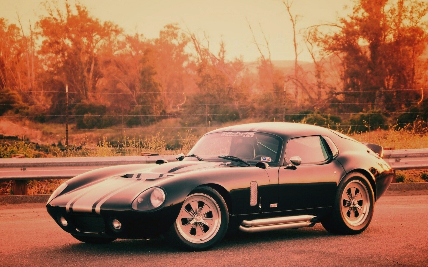 Shelby Daytona обои