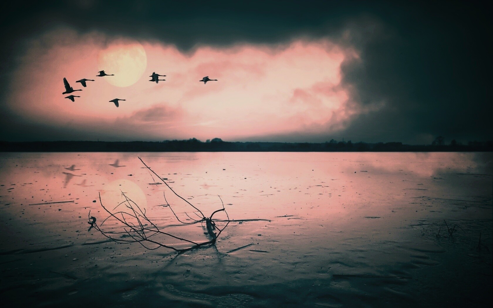 Полет птиц над озером обои