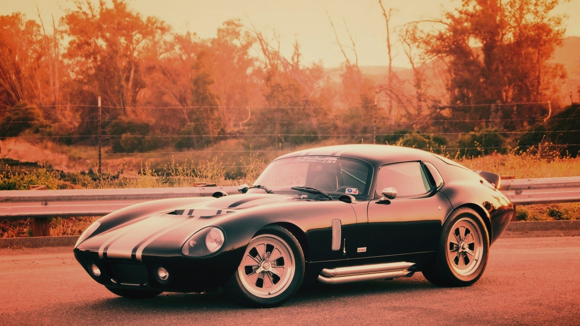 Shelby Daytona обои