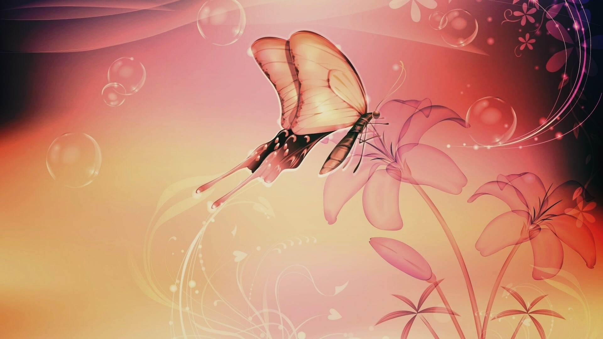 Черно-розовая бабочка загрузить