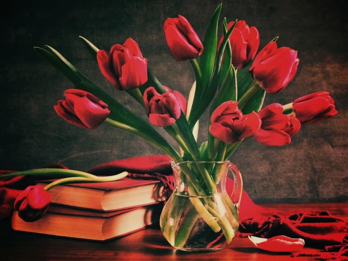 К чему дарят красные тюльпаны