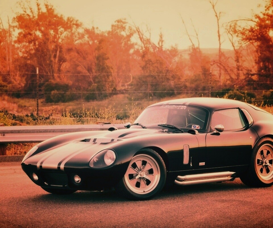 Shelby Daytona обои