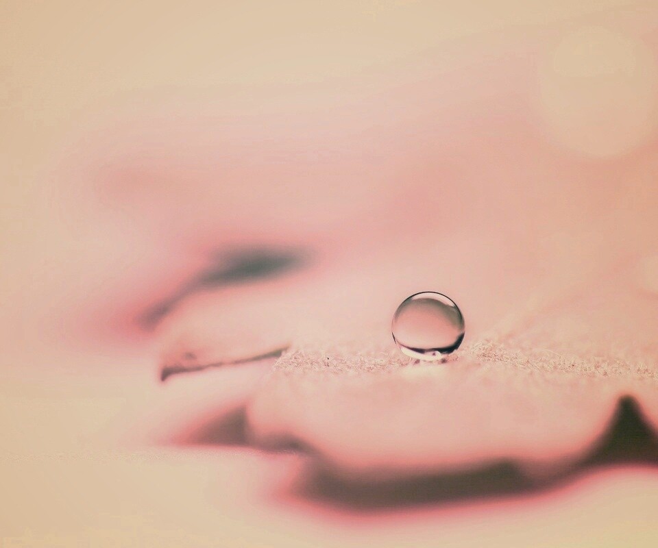 Капля на замёрзжем листе обои