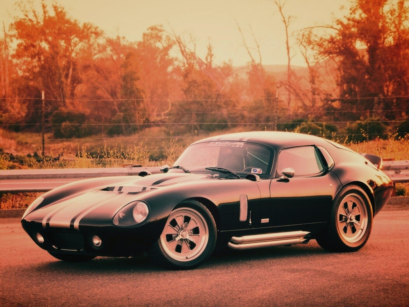 Shelby Daytona обои