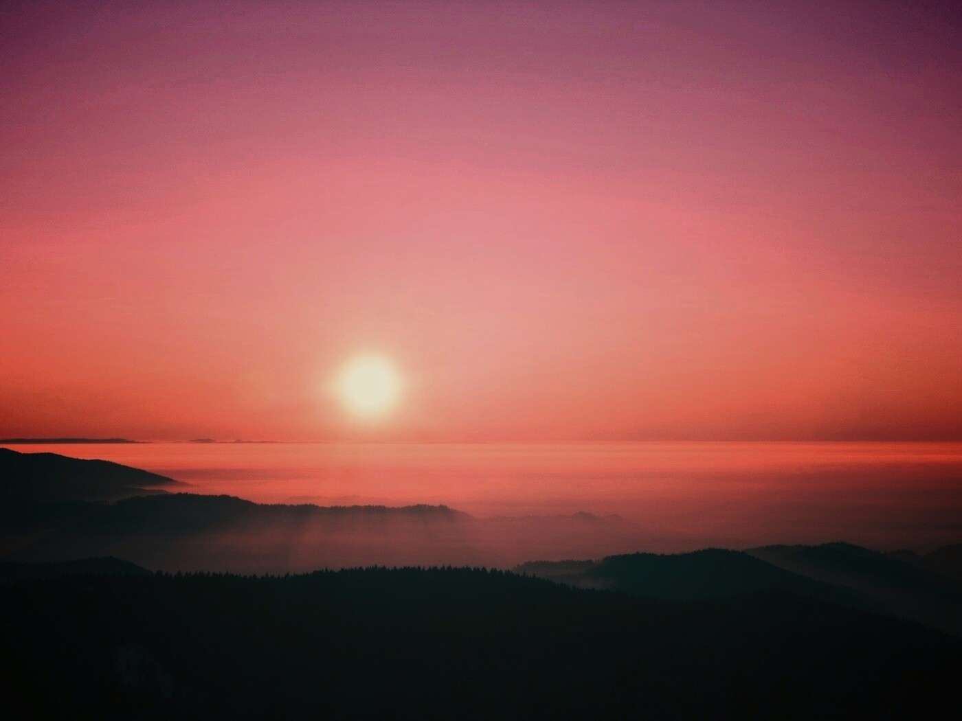 Восход солнца над лесом обои
