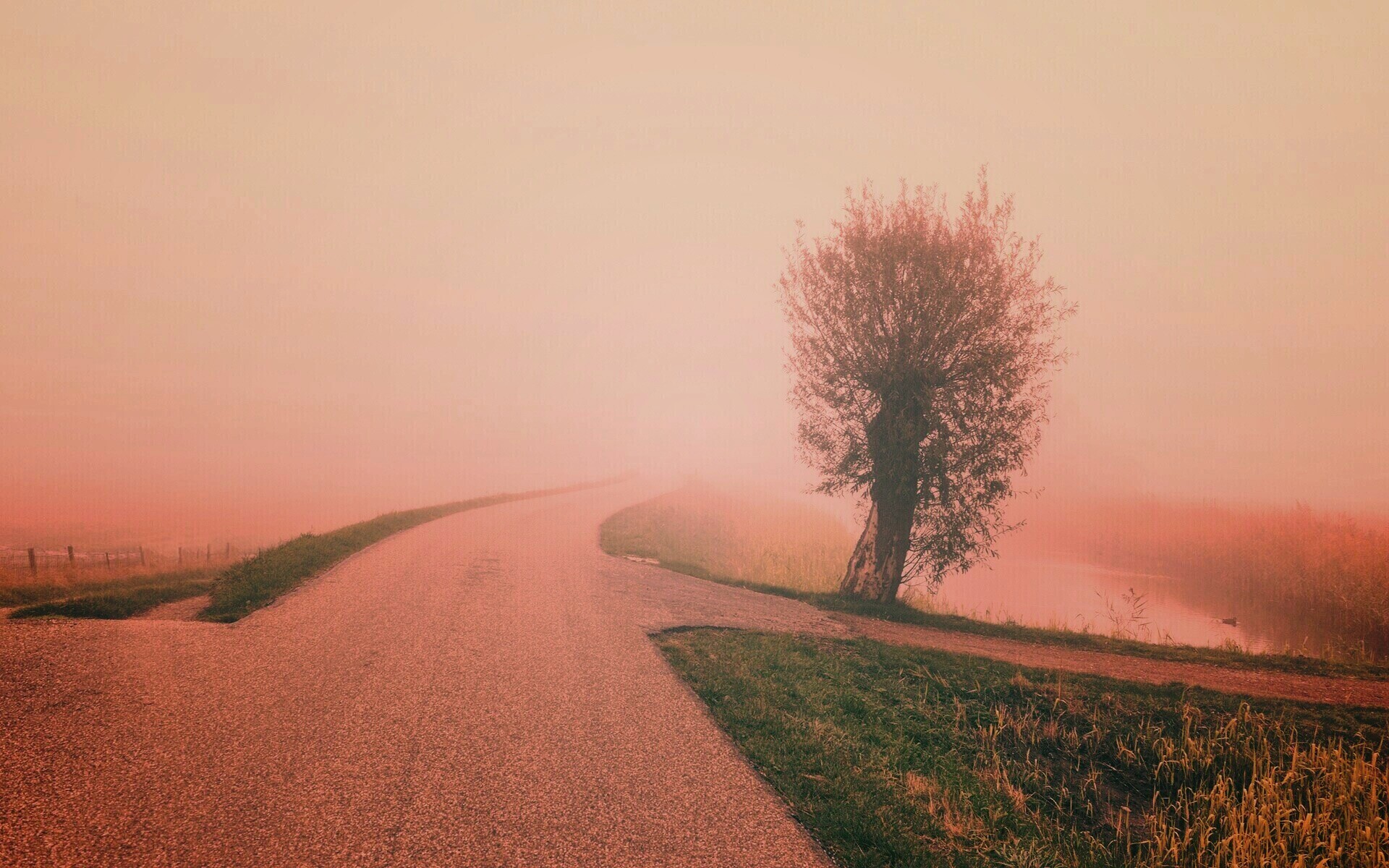 туман на дороге без смс