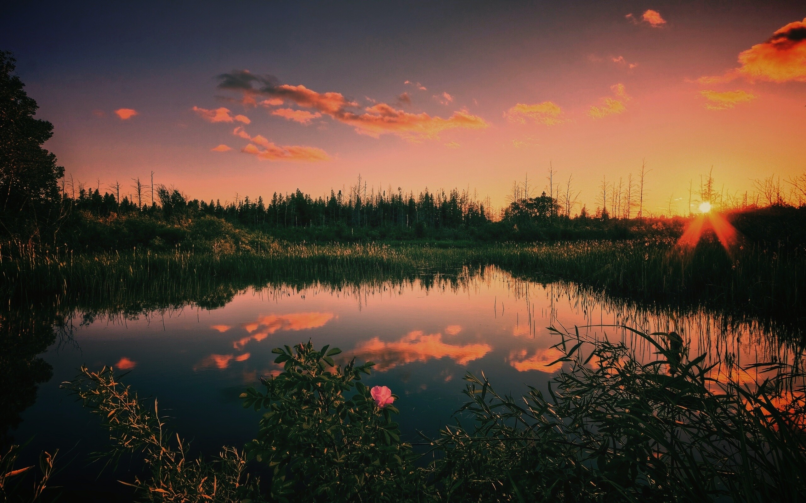 Как над бережком. Природа вечер. Вечерний закат. Закат на озере. Розовый рассвет над озером.