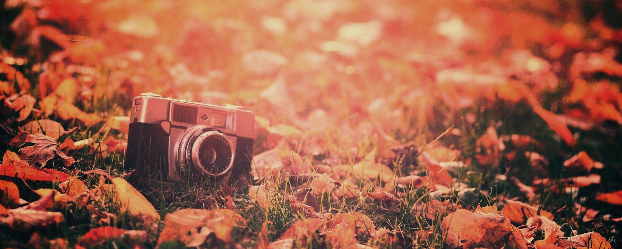 Фотоаппарат в траве без смс