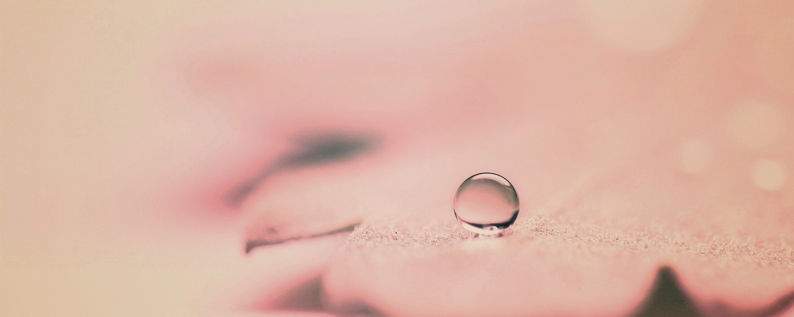 Капля на замёрзжем листе обои