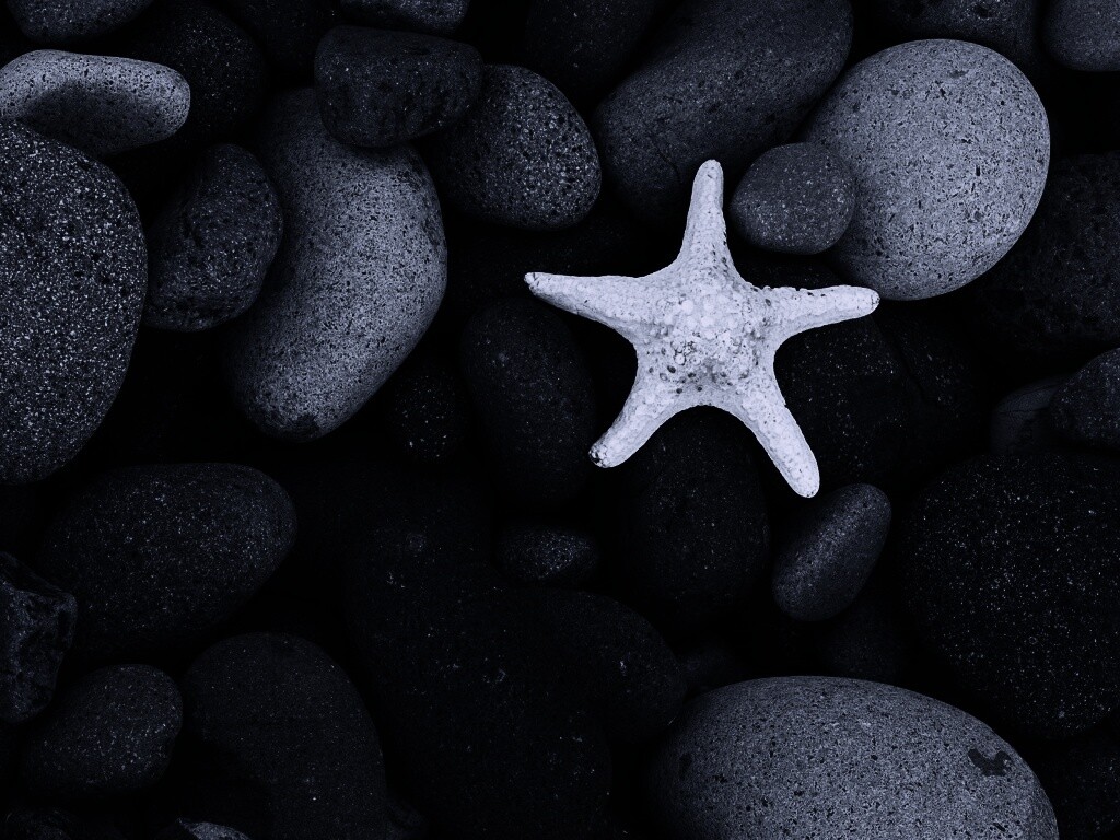 Звезда на морской гальке обои