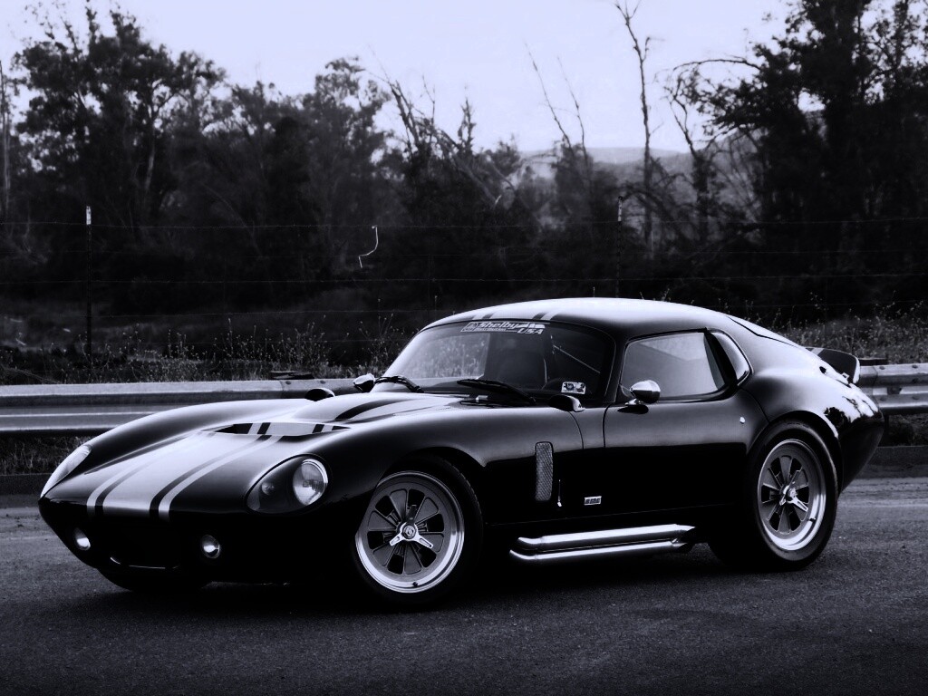 Shelby Daytona обои