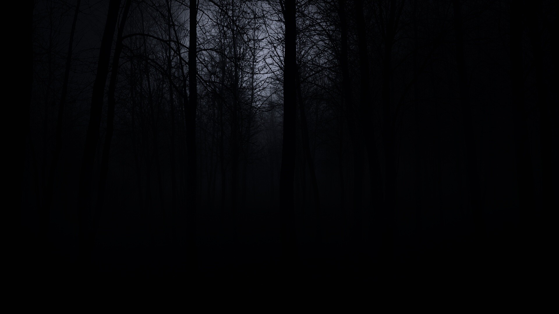 Лес мрак бесплатно