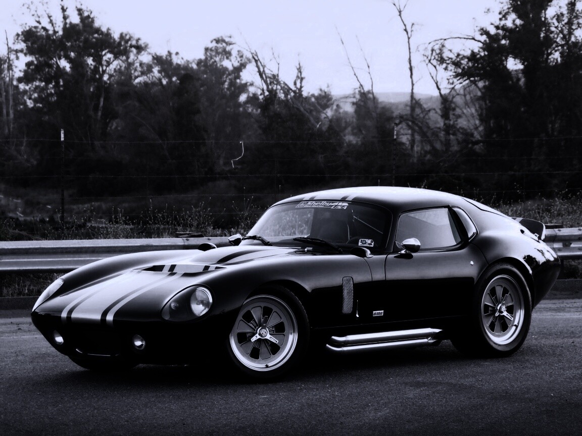 Shelby Daytona обои